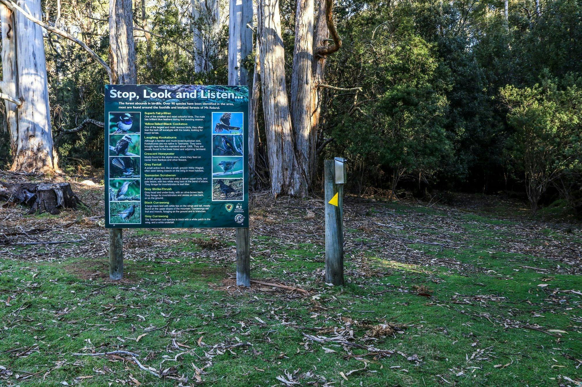 O'Neills Creek Reserve