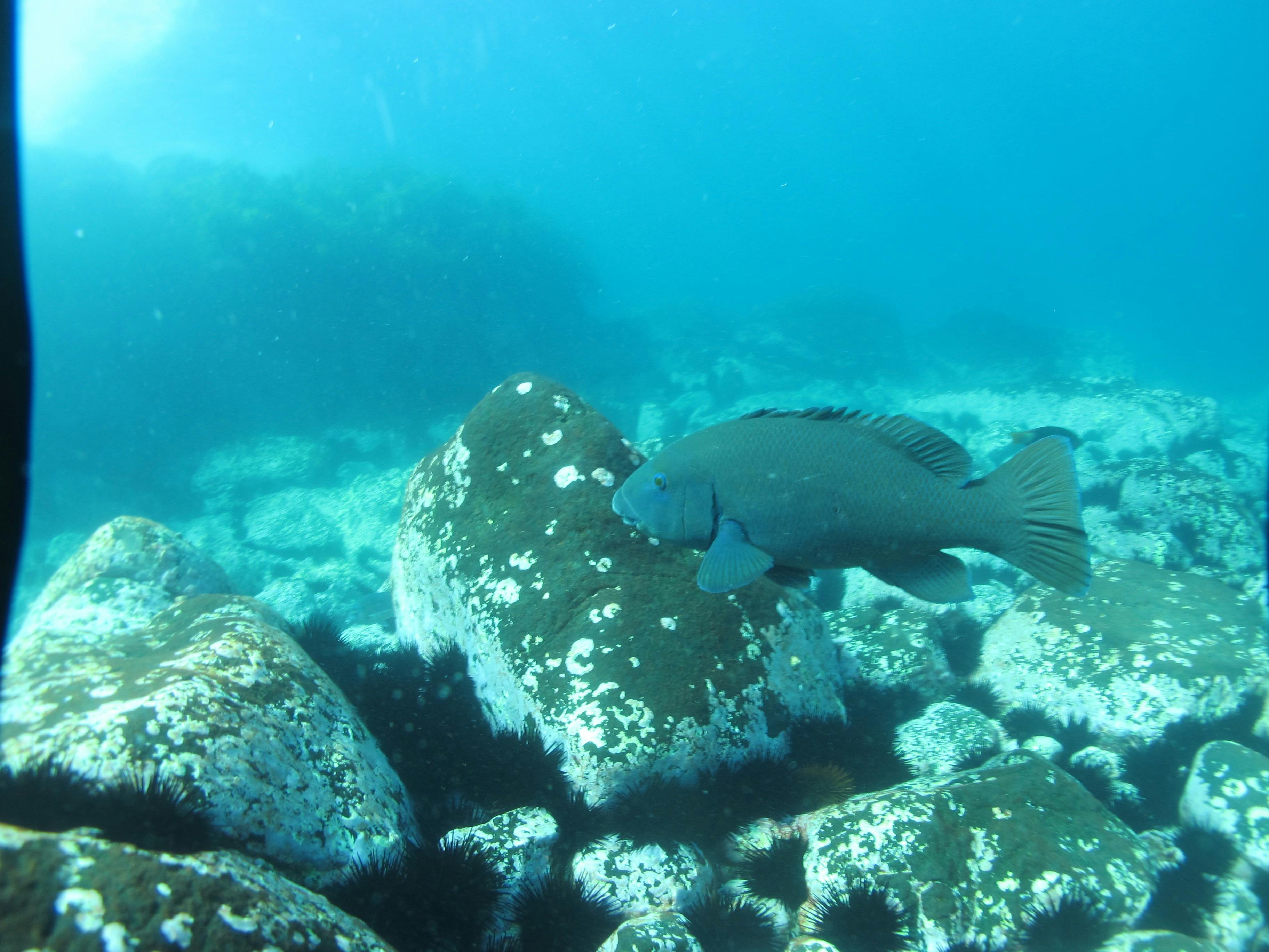 These guys are friendly