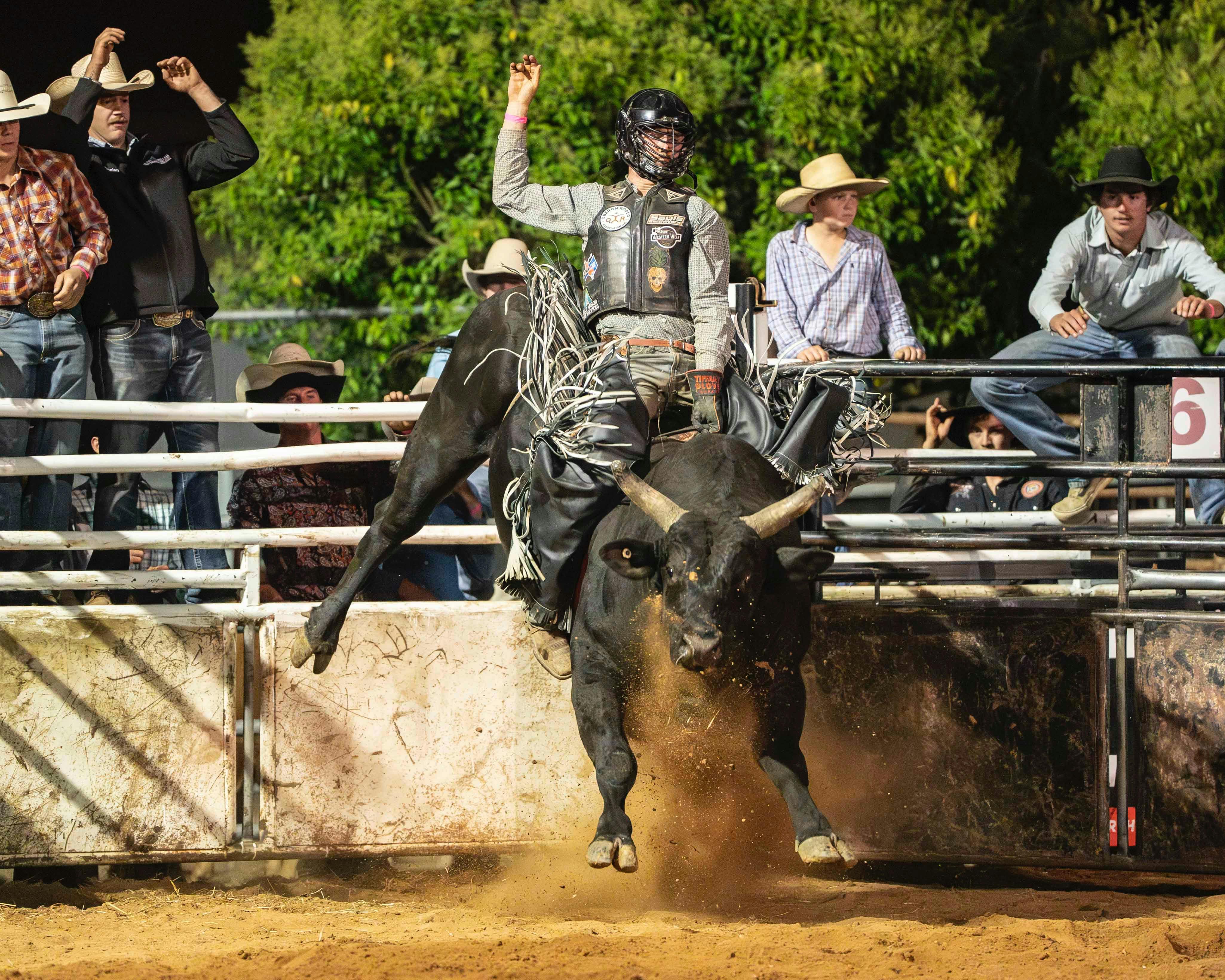 Image for Bucking Bulls Australia Yass River Co Classic