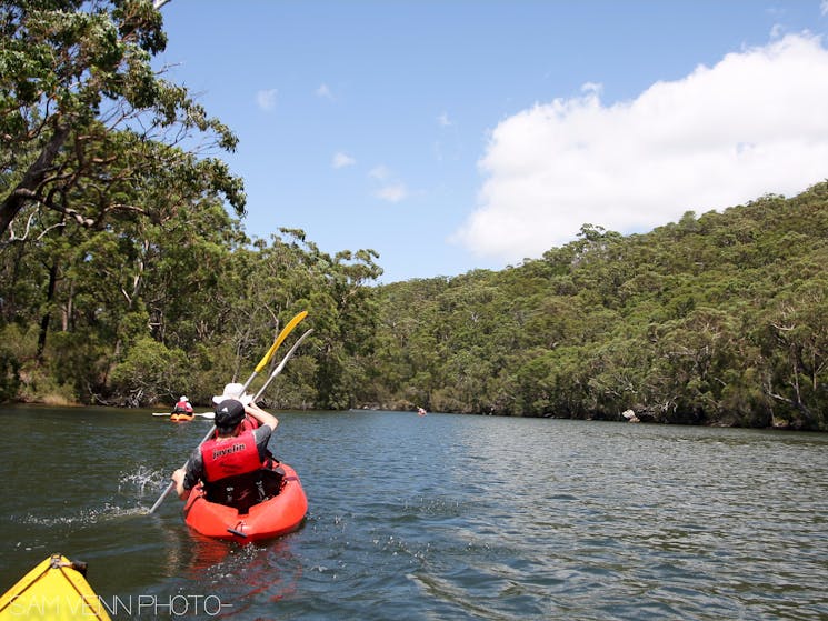 Bundeena Kayaks Guided Kayak Tours and Hire Sydney, Australia