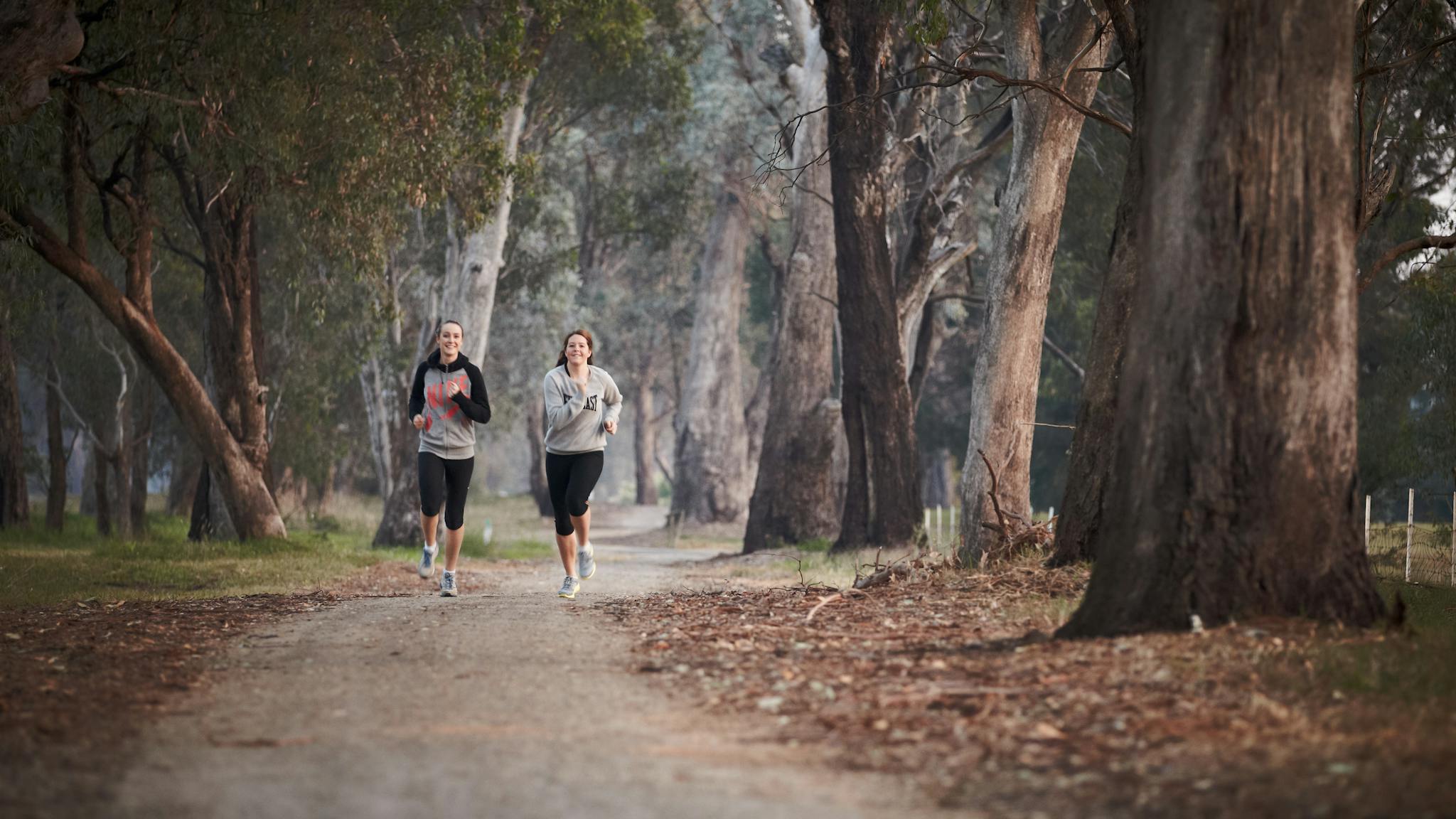 Two people running along track, trees, foggy morning.