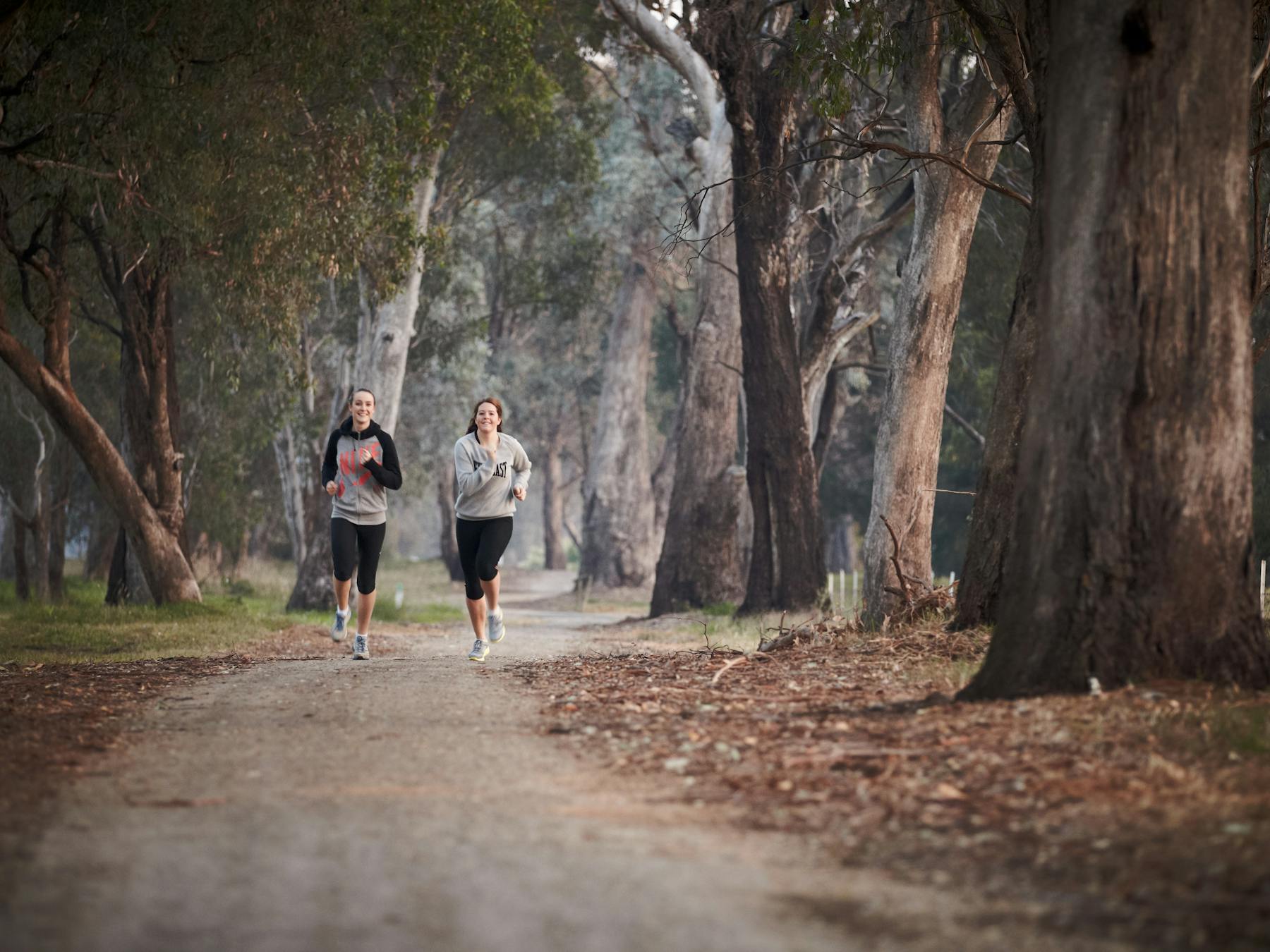 Two people running along track, trees, foggy morning.