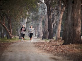 Wangaratta Park Run