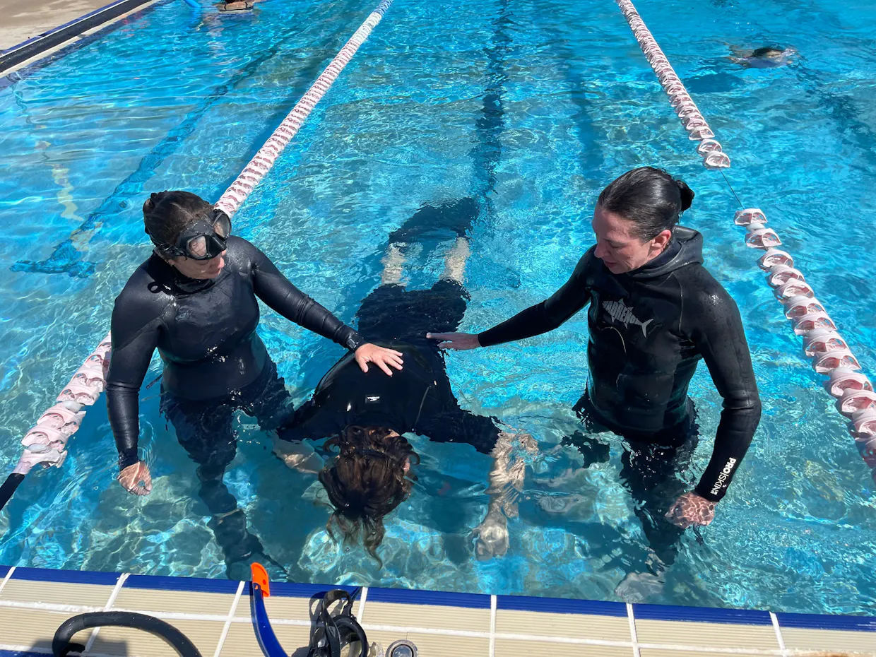 Come and Try Freediving