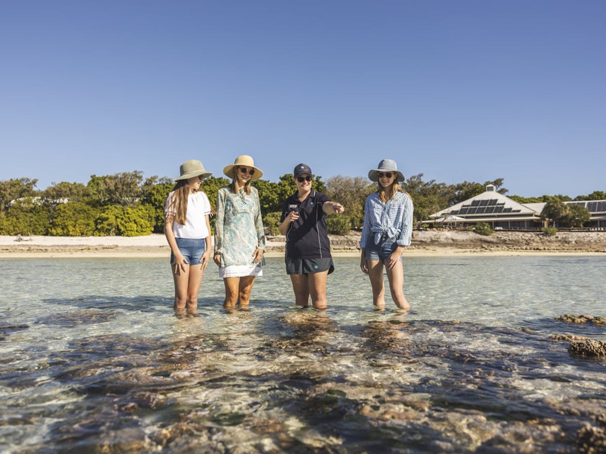 Heron Island