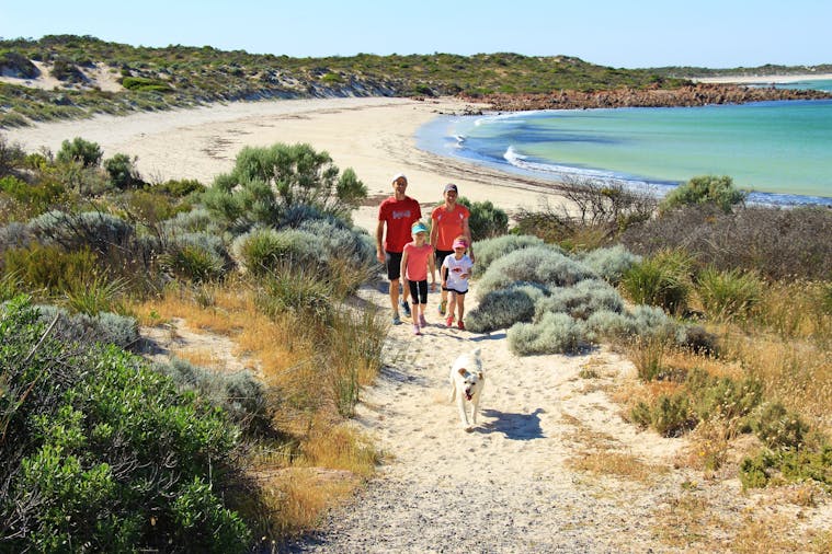 Walk the Yorke Trail