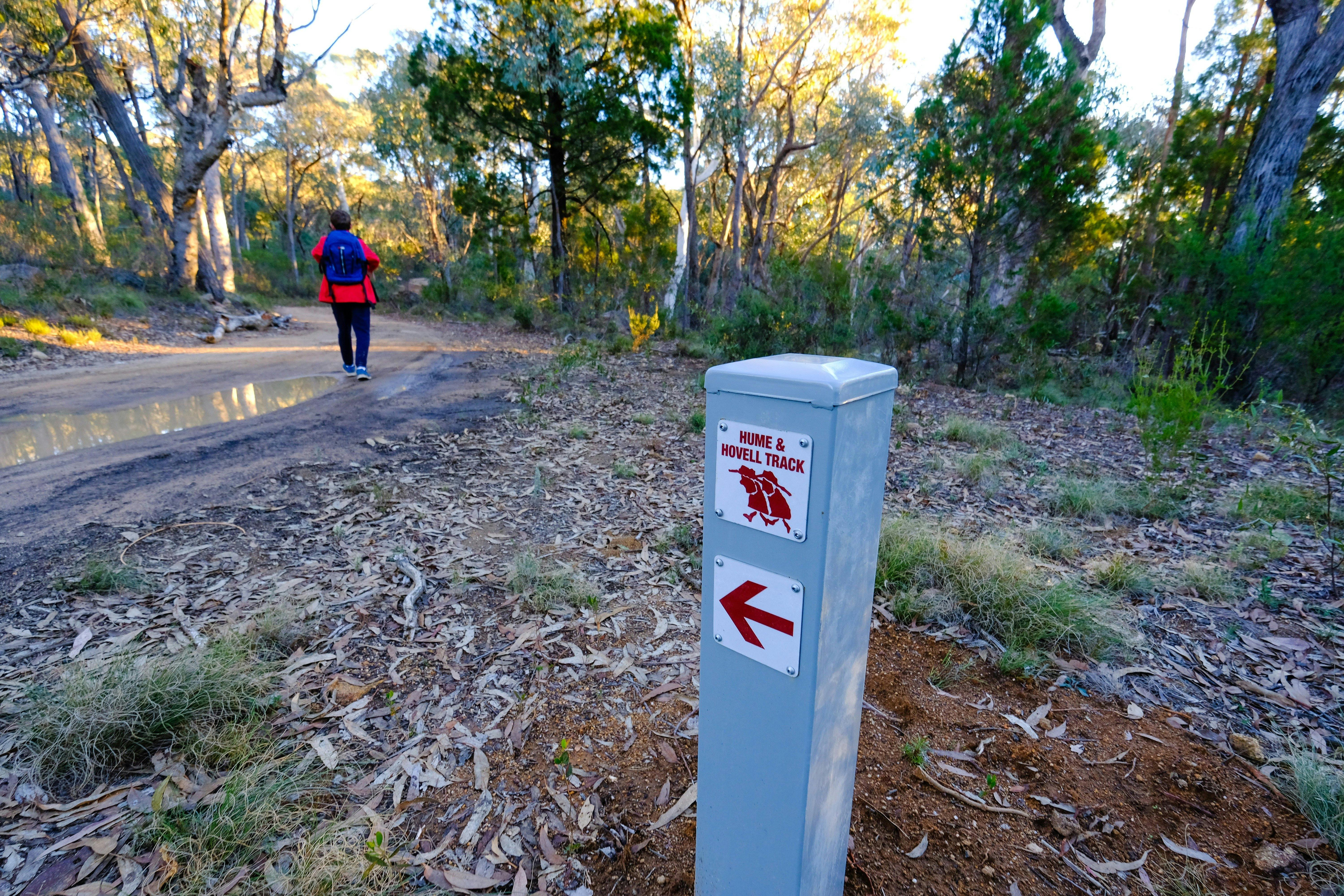 Hume and Hovell Walking Track- Lankey's Creek to Bowna