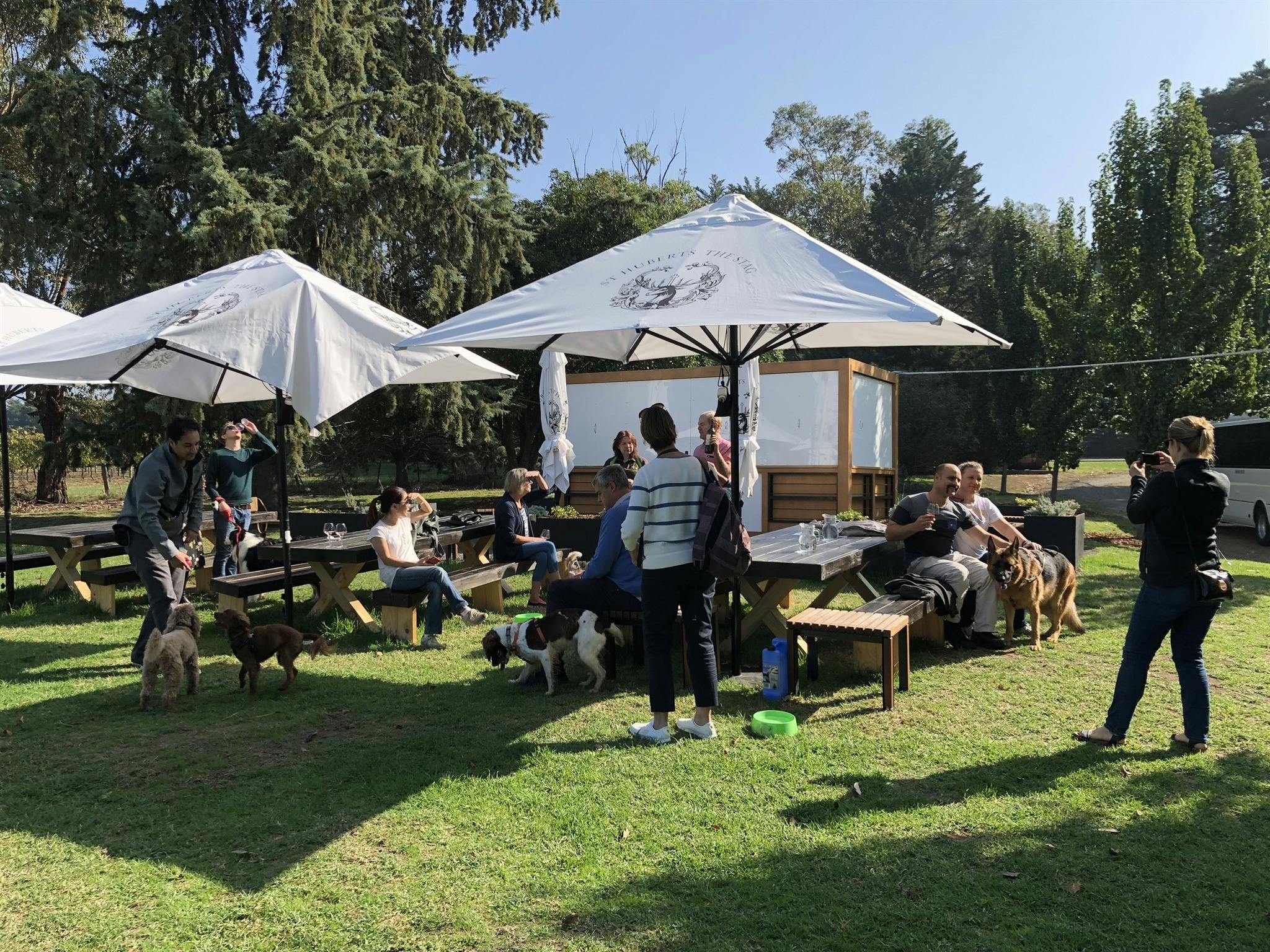 People and dogs outside wine tasting