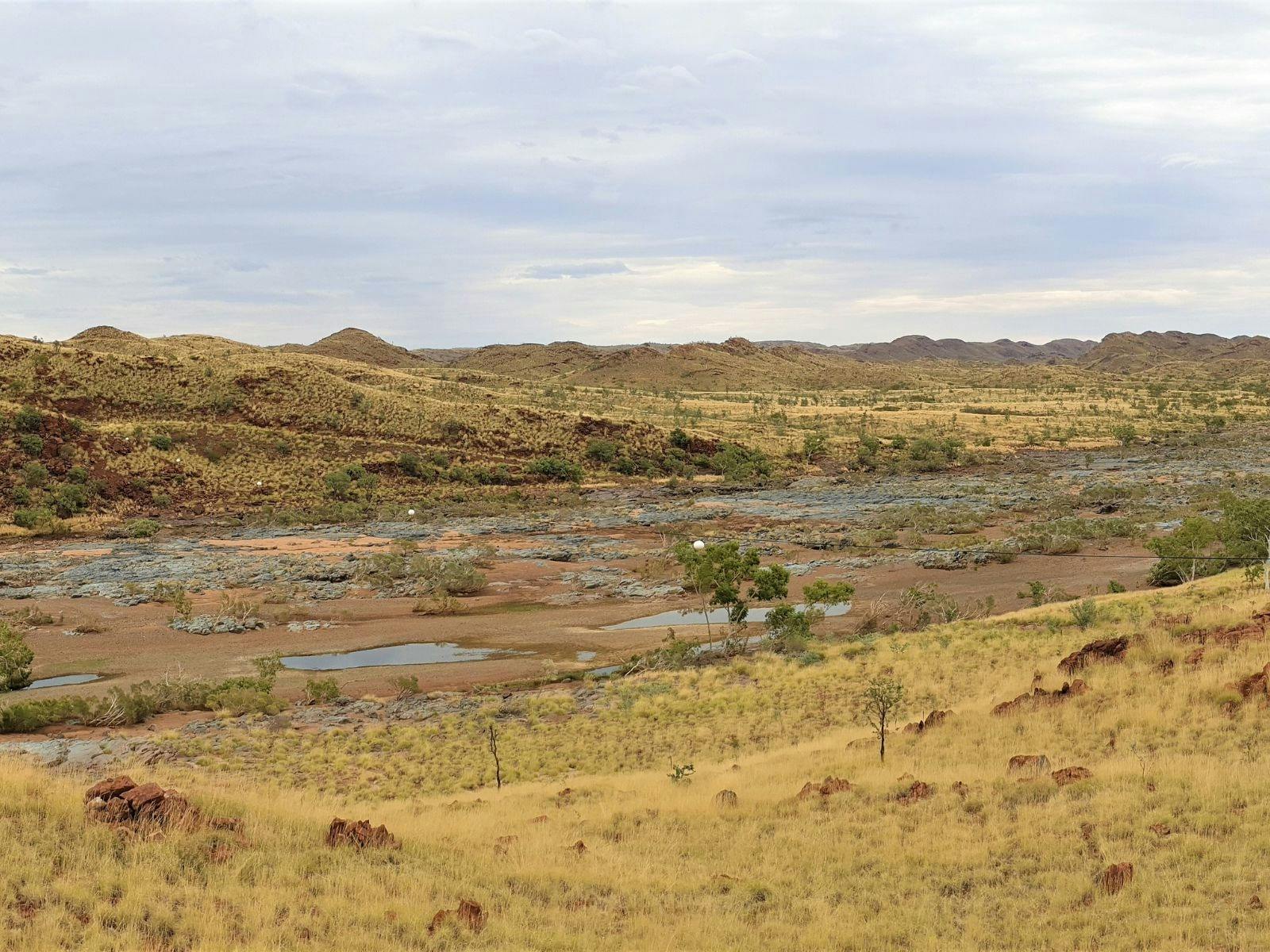 Flying Fox Lookout