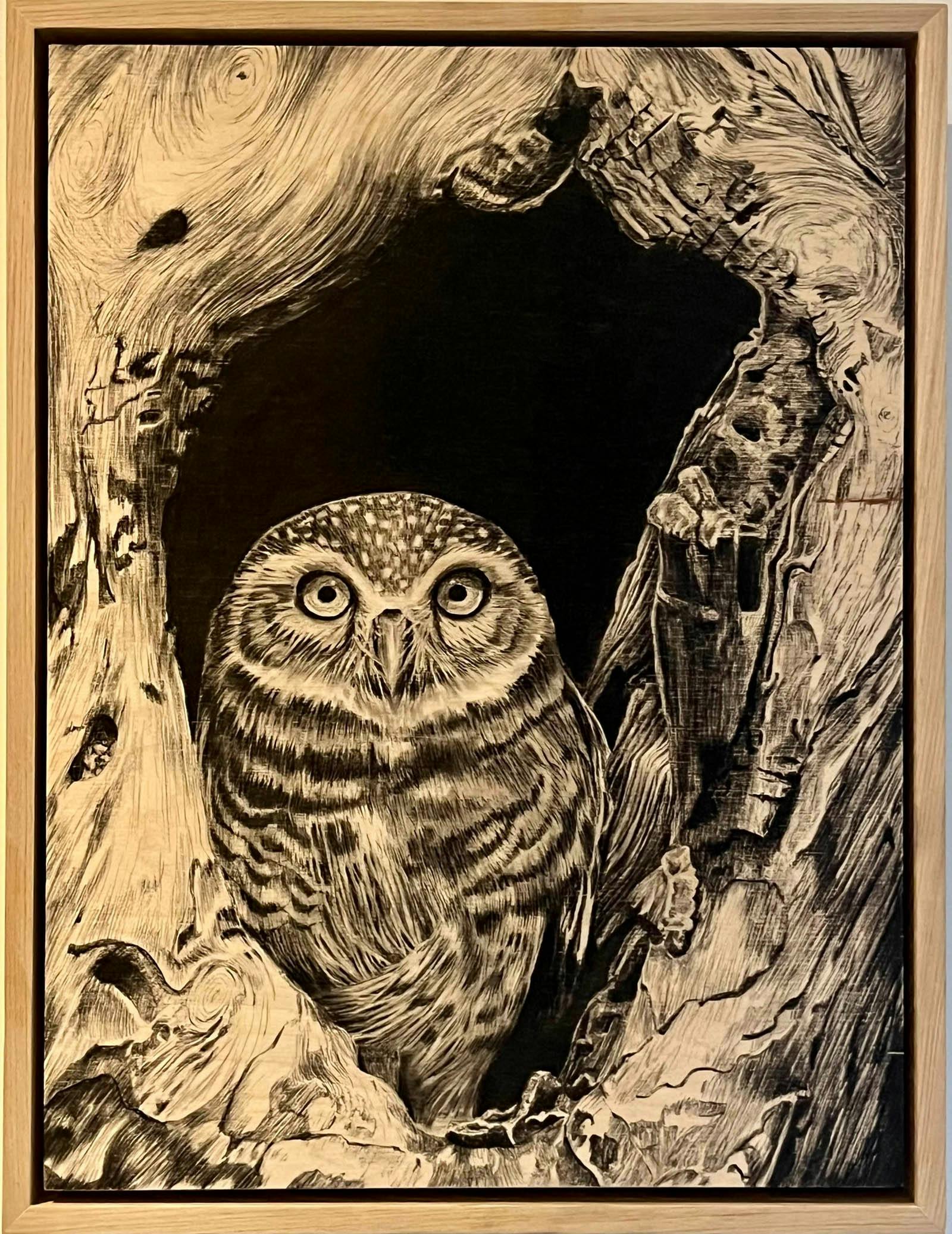 Charcoal Drawing of an Owl