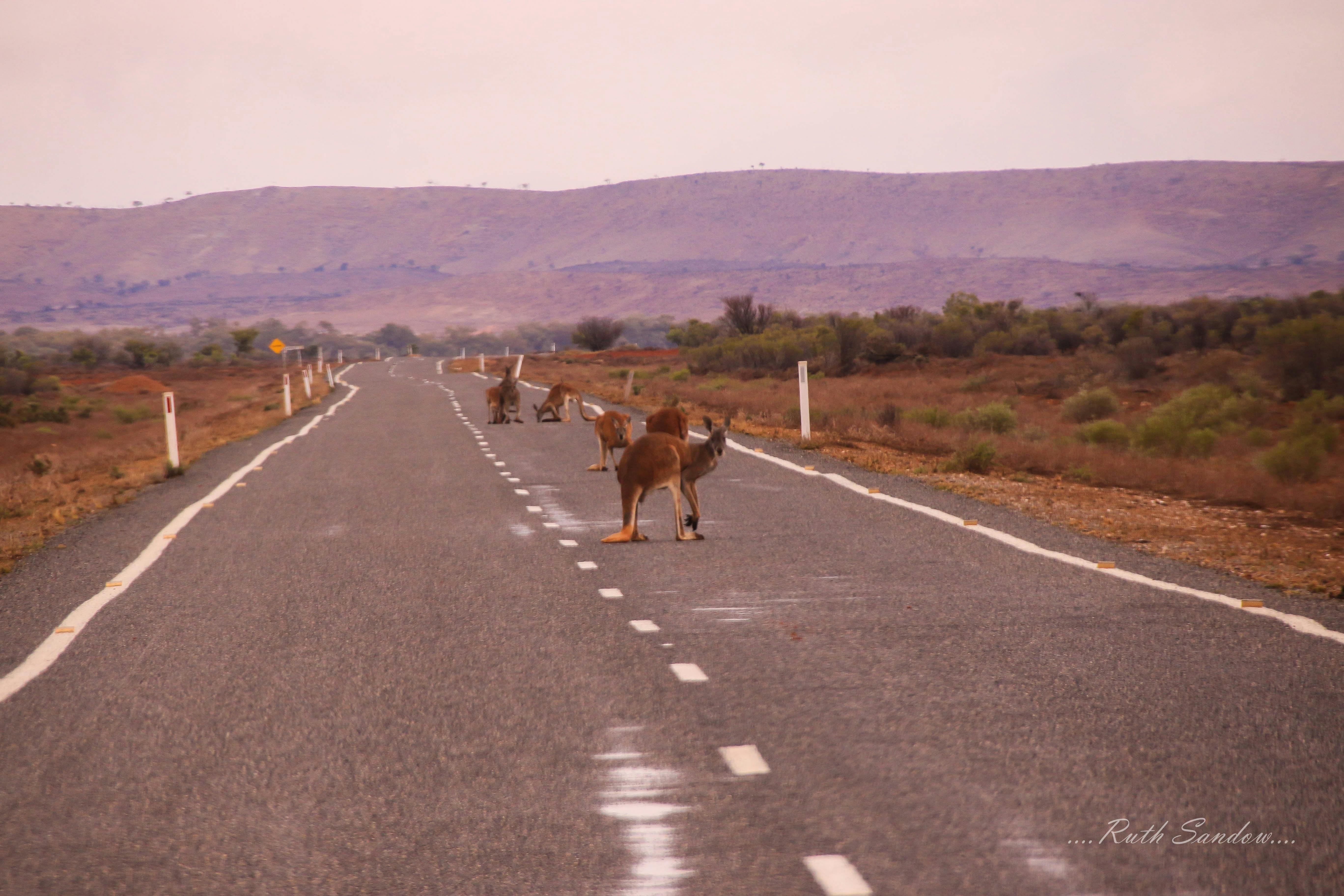 Sturt's Steps Touring route