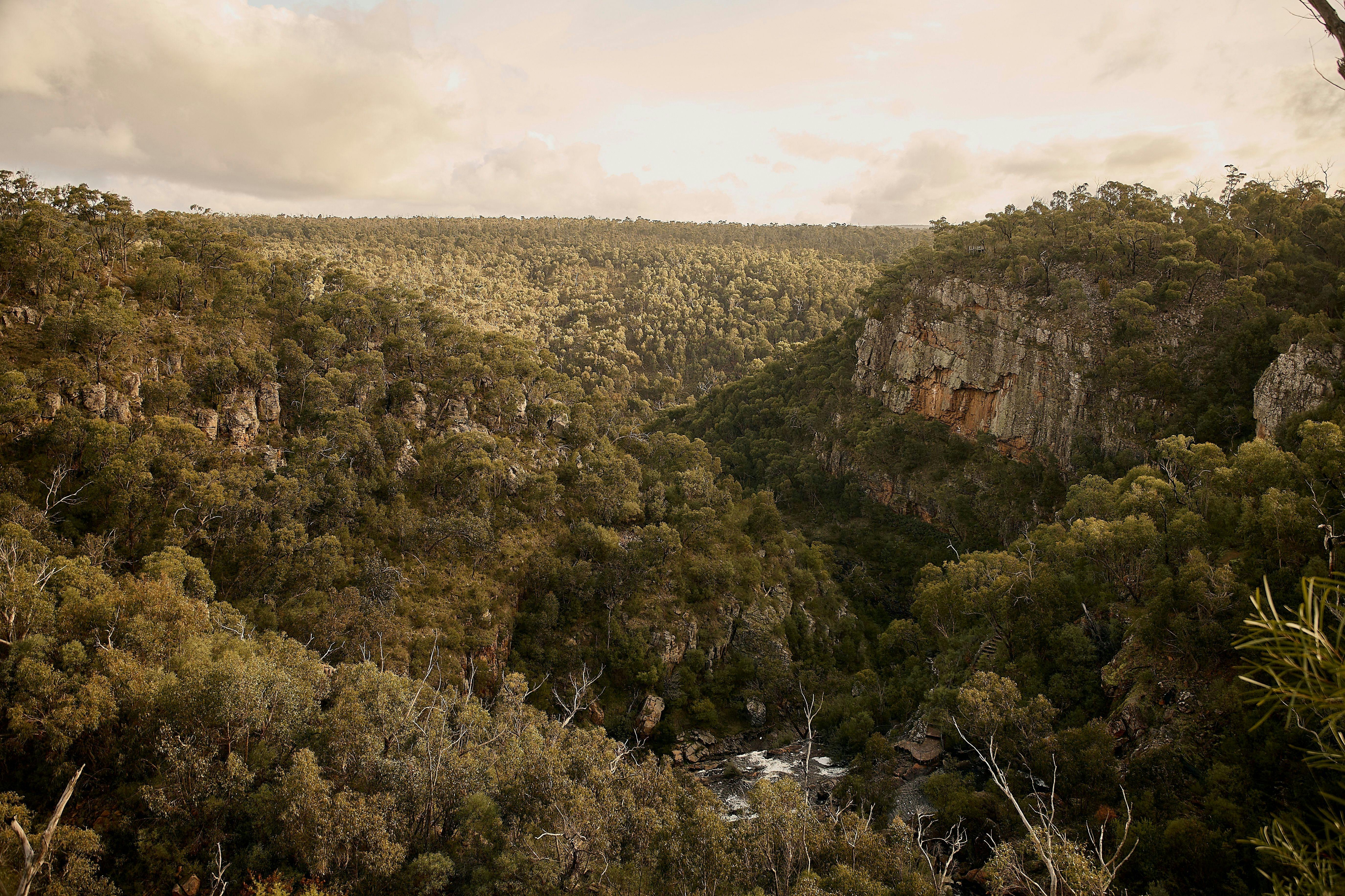 McKenzie Falls Lookout Grampians National Park