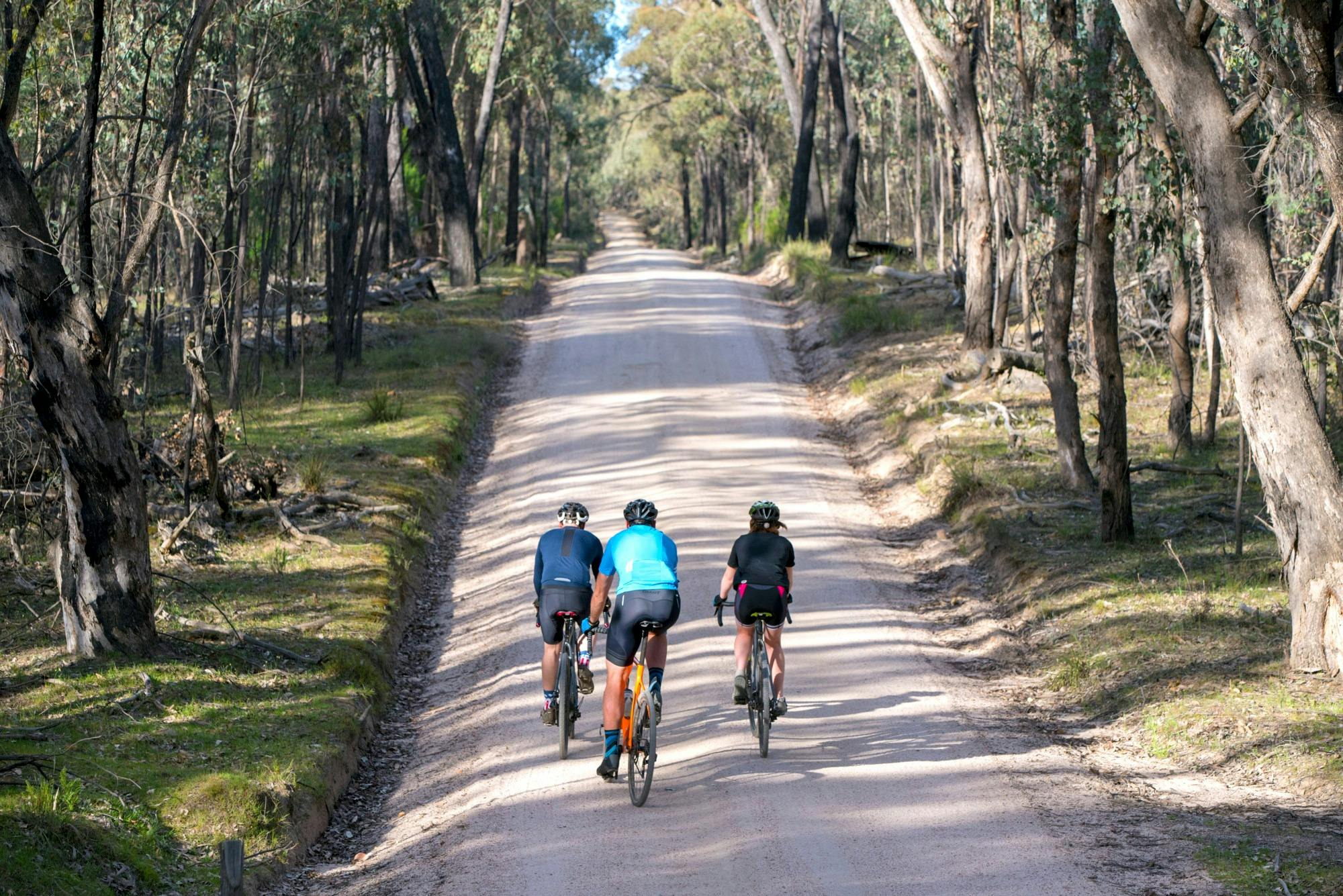 Gravel cycling in Chiltern-Mt Pilot National Park