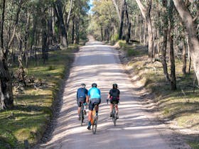 Gravel cycling in Chiltern-Mt Pilot National Park
