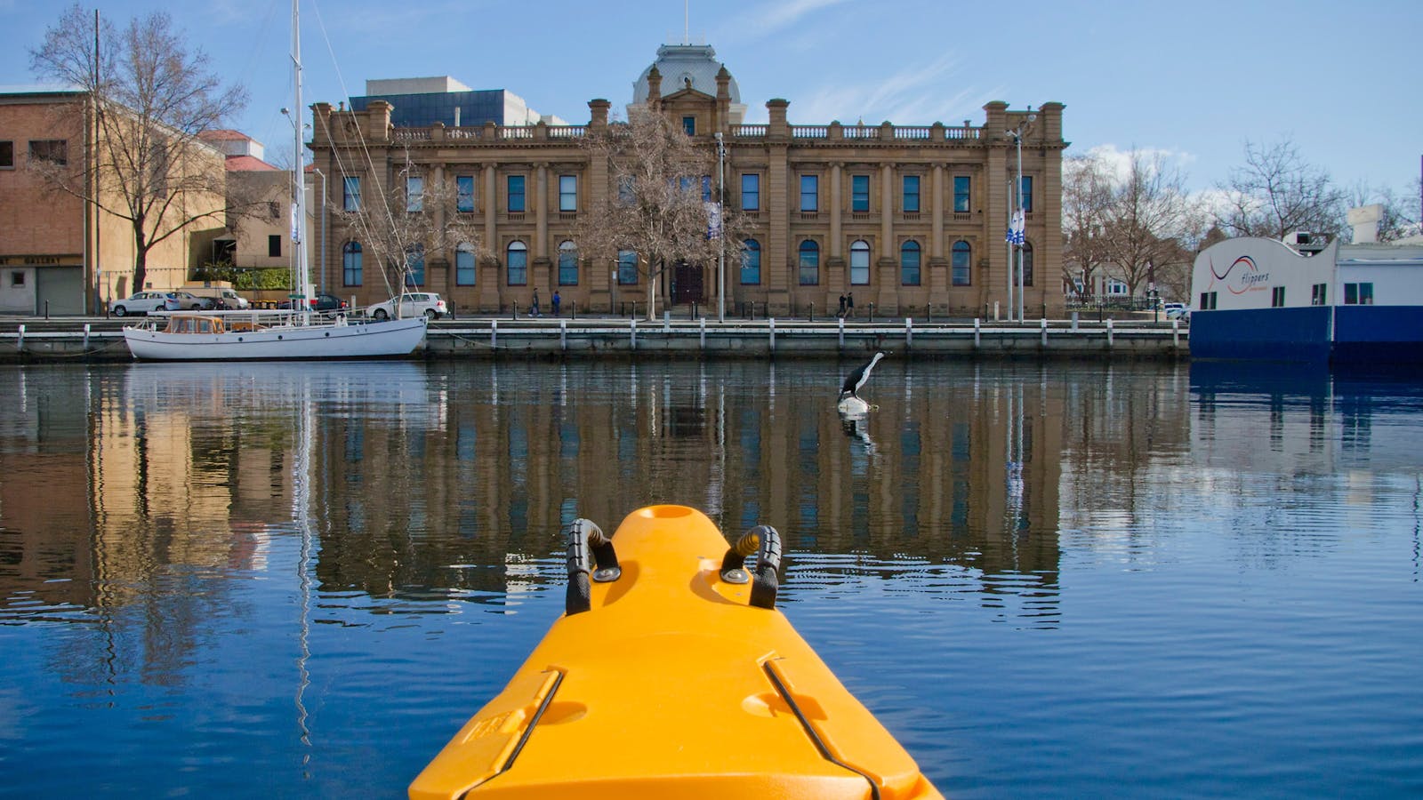 Kayaking on the Hobart Waterfront