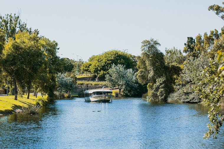 High Tea River Cruise