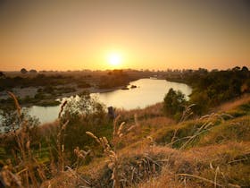 The Knob Reserve