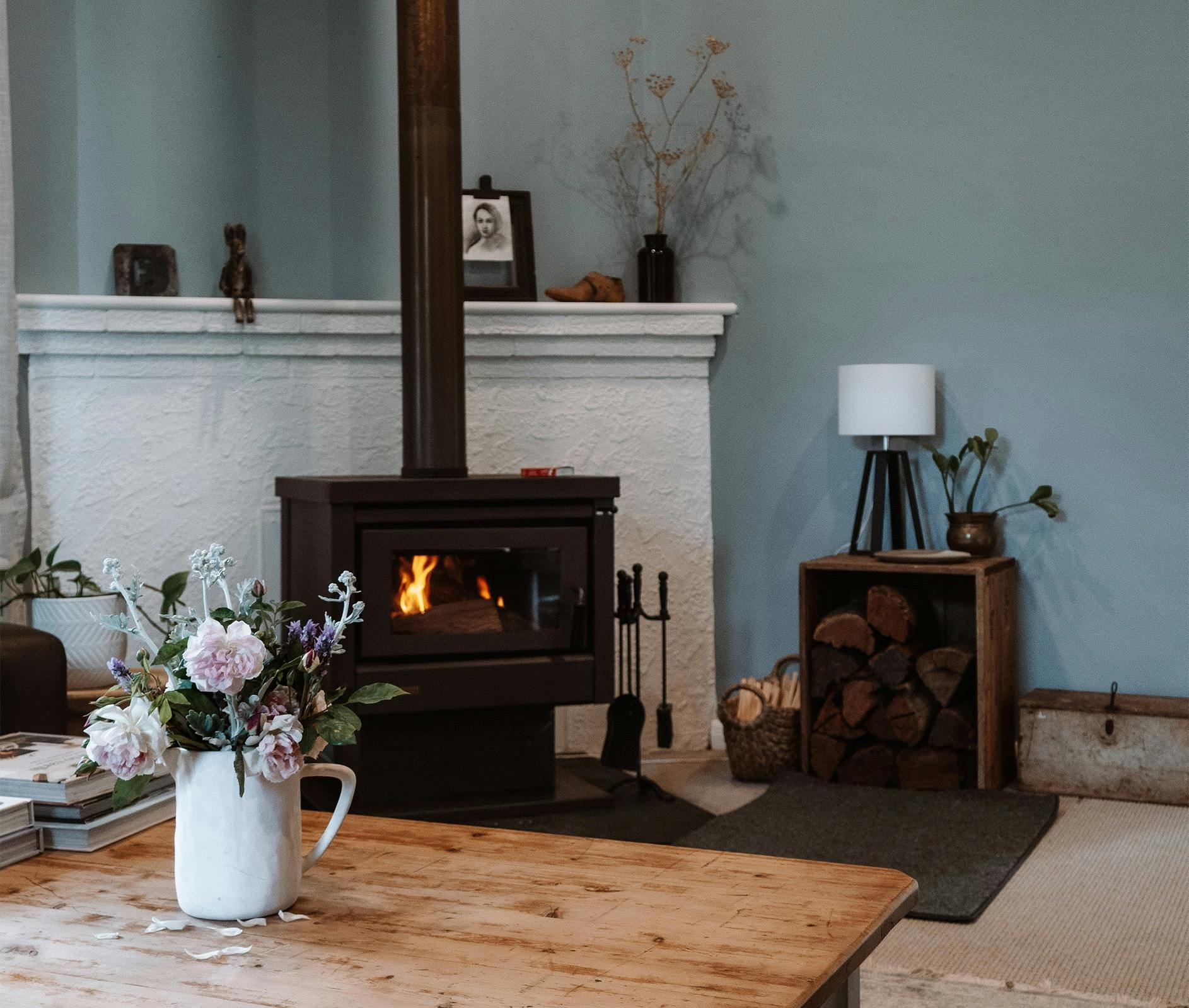Cosy lounge with wood fire (wood supplied) and leather couches