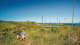 Bushwalking on Keswick Island