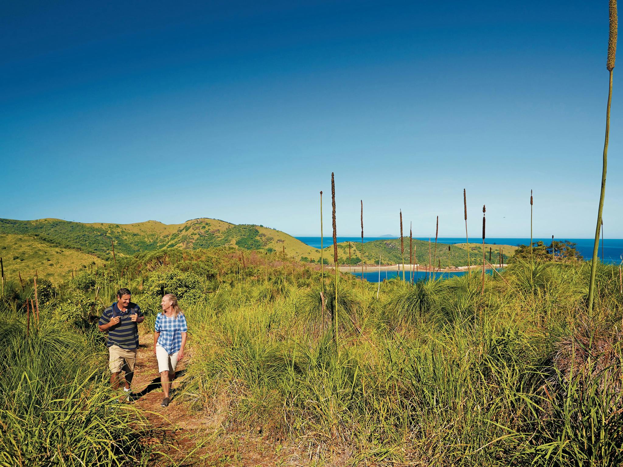 Bushwalking on Keswick Island Bushwalking on Keswick Island
