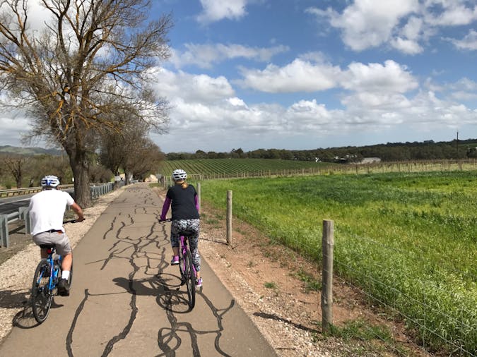 Tour de Barossa Cycling Tour Day Tour from Adelaide