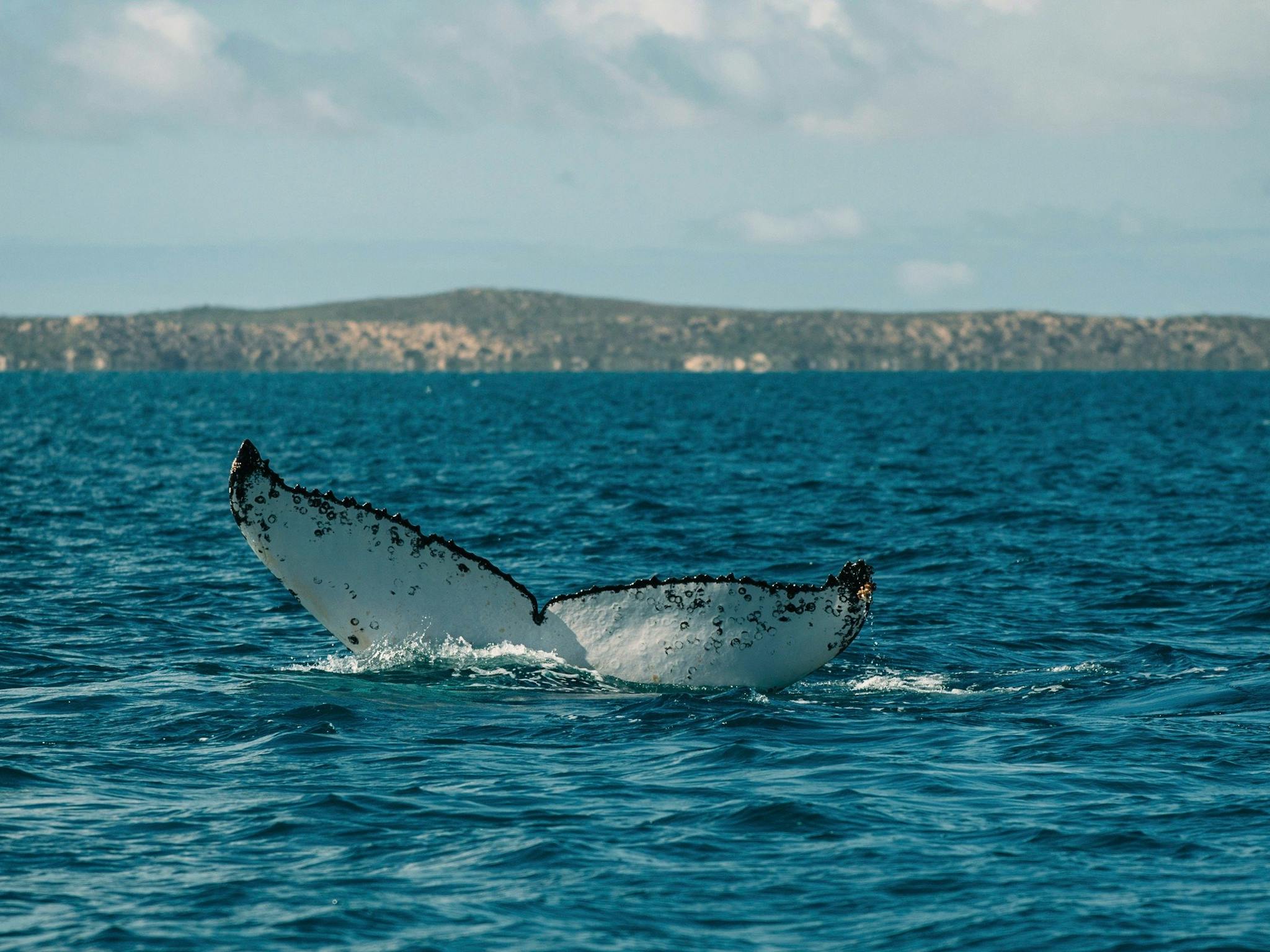 Dunsborough, Western Australia