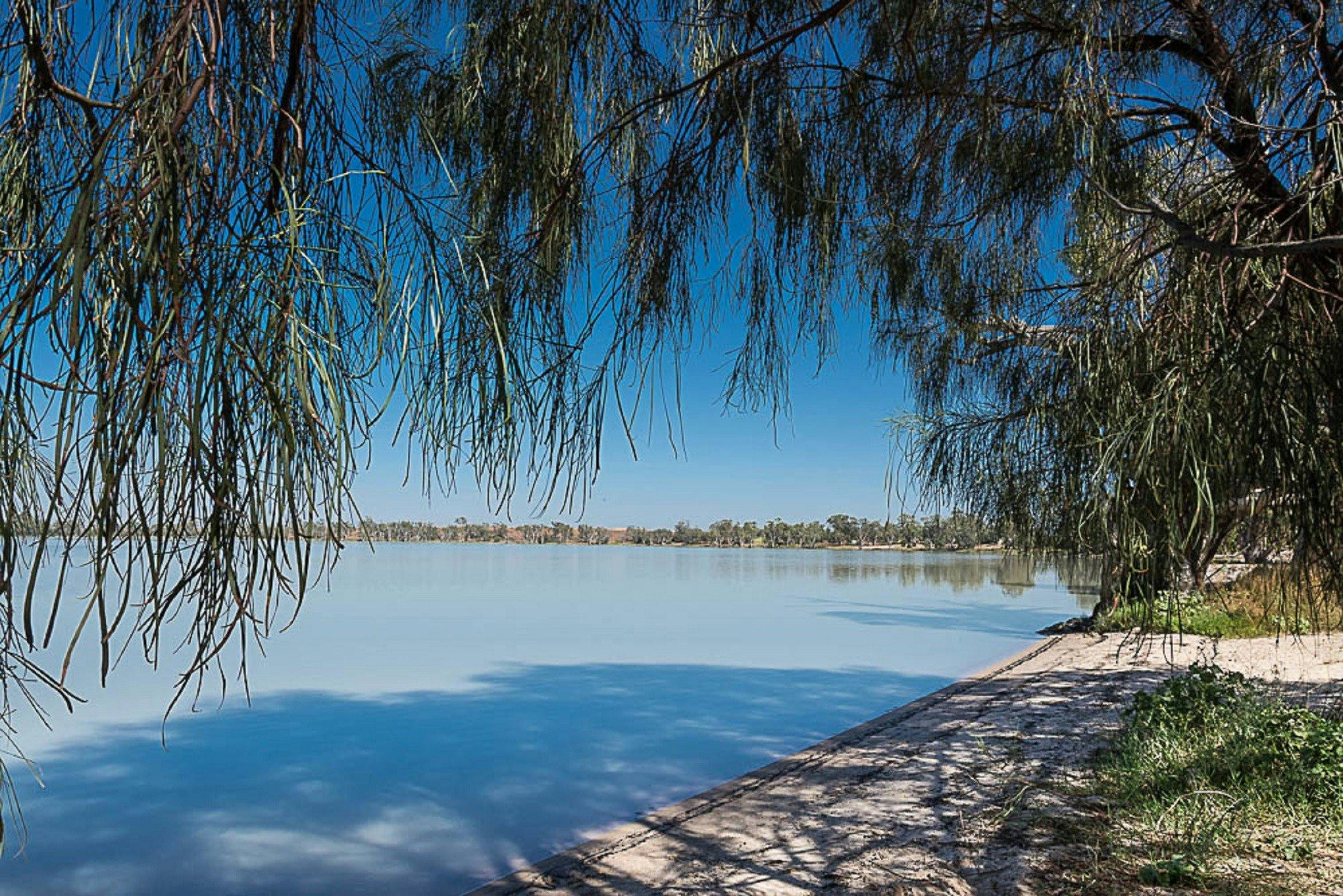 Lake Benanee Foreshore with Trees overhanging the Shoreline