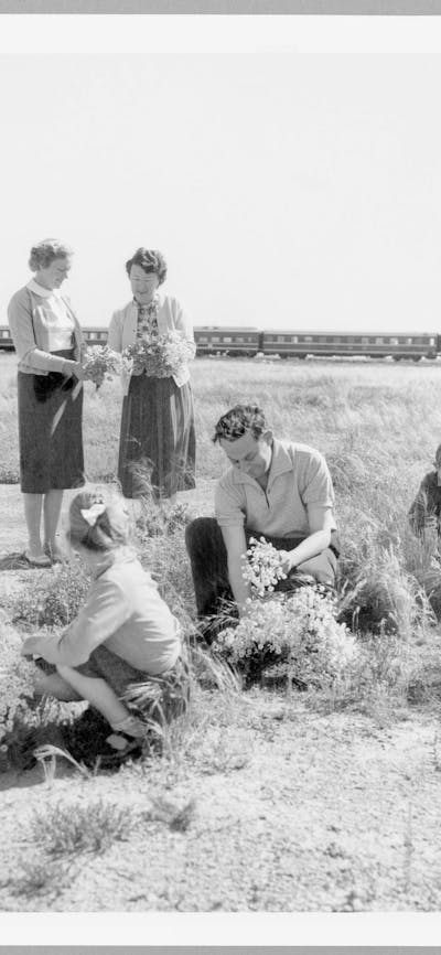 Black and white photograph of people picking flowers at the WildFlower Stop