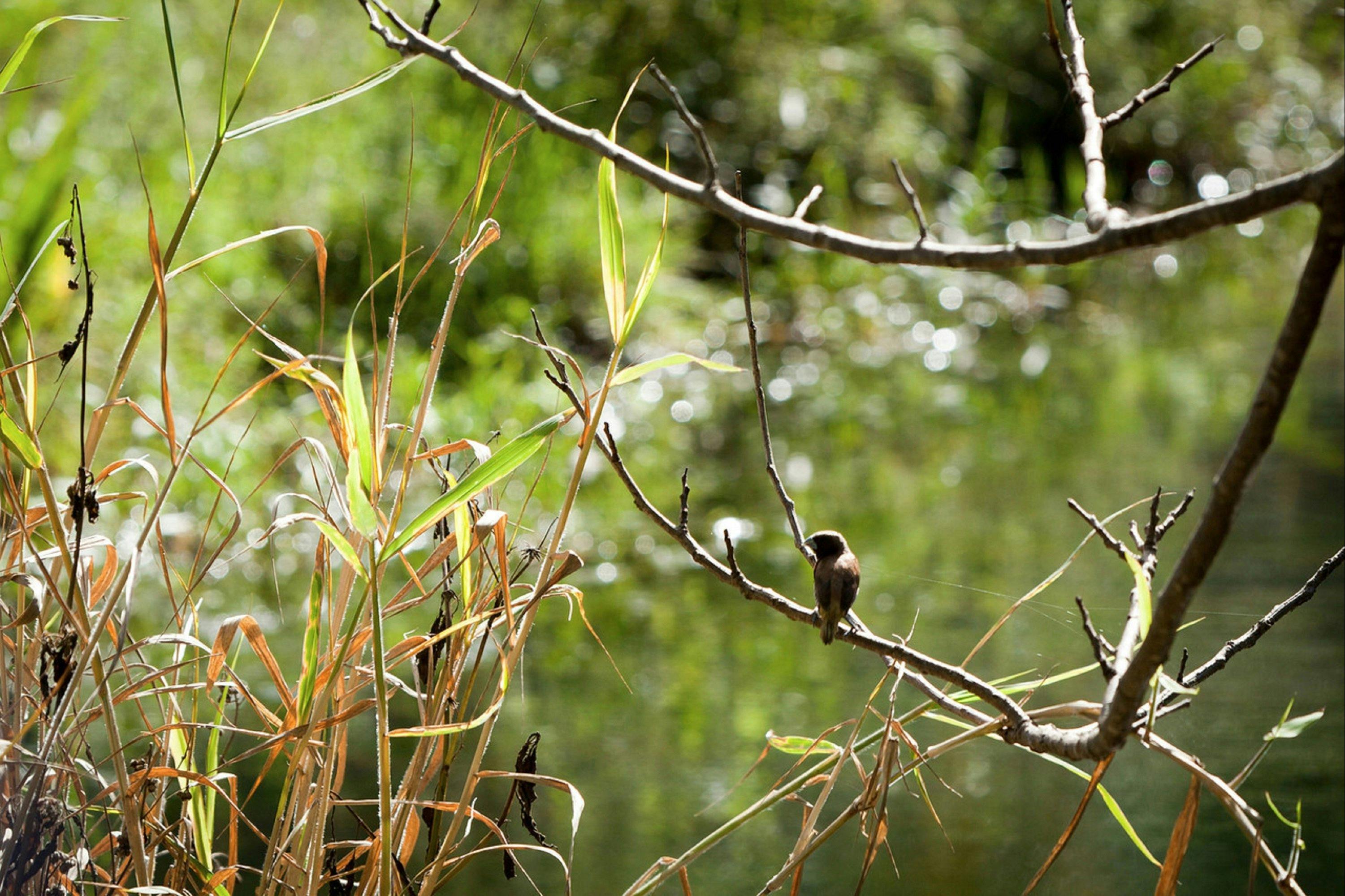 Tucki Tucki Nature Reserve