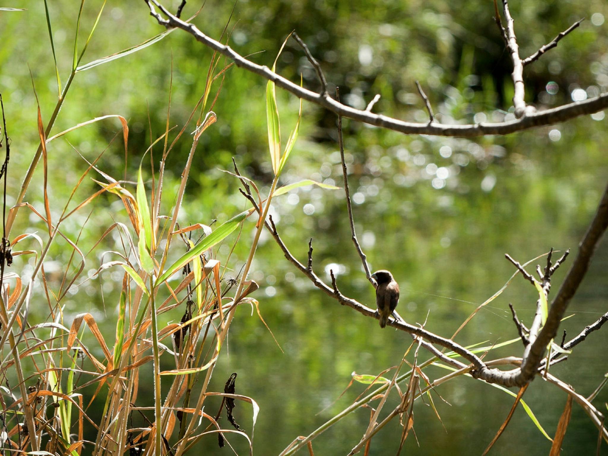 Tucki Tucki Nature Reserve