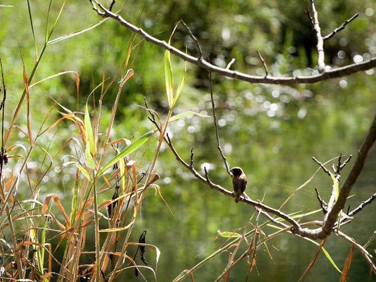 Tucki Tucki Nature Reserve