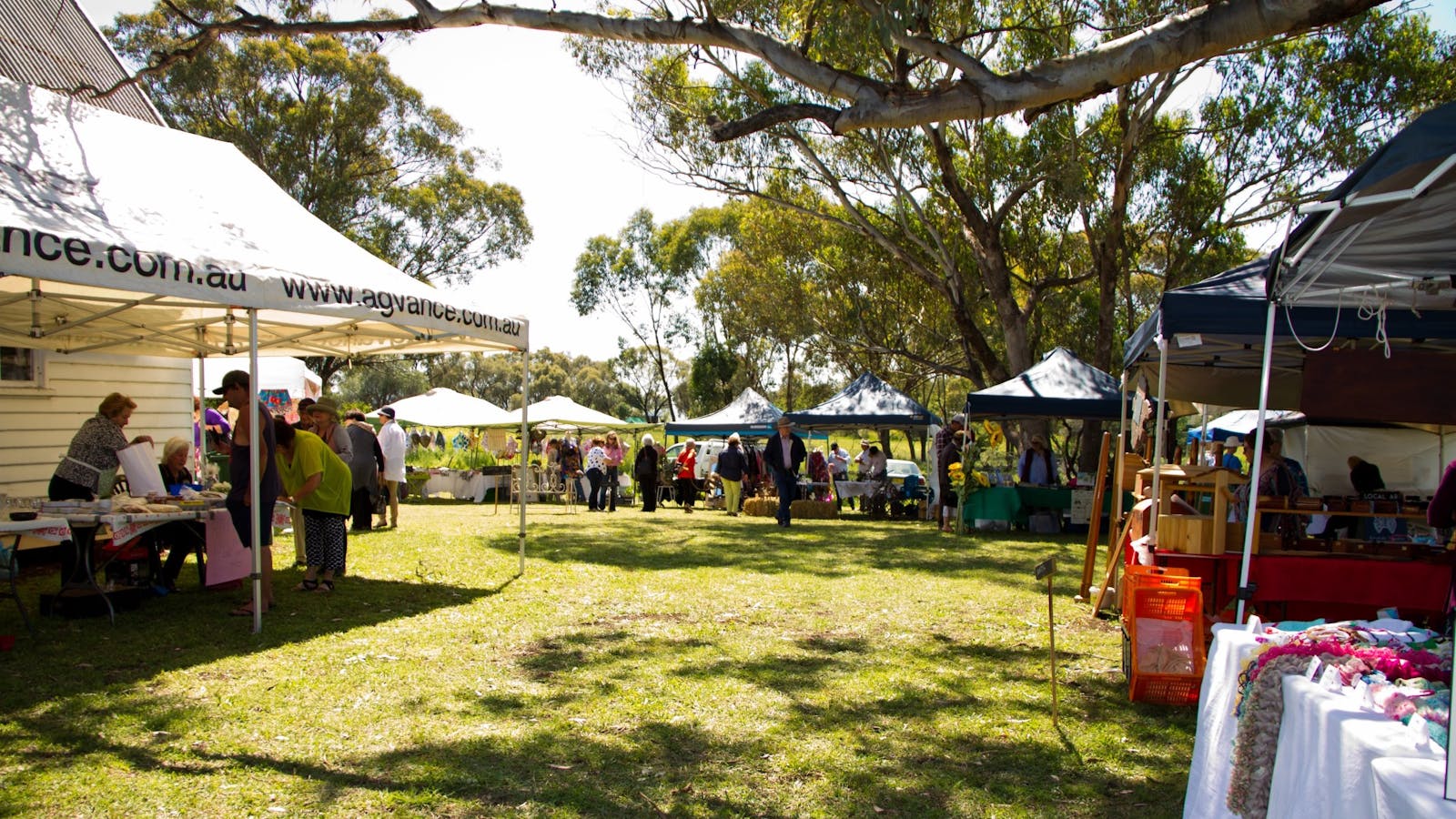 Blackville Arts and Market Day