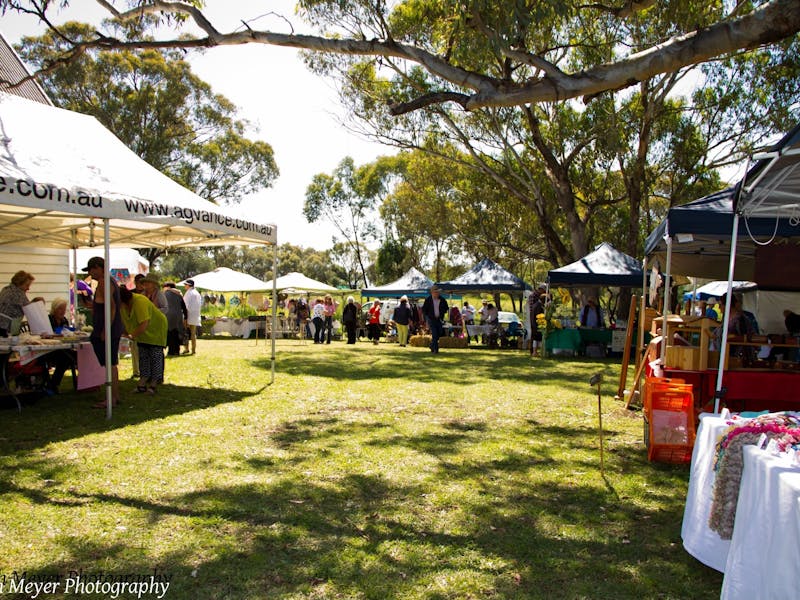 Blackville Arts and Market Day NSW Holidays & Things