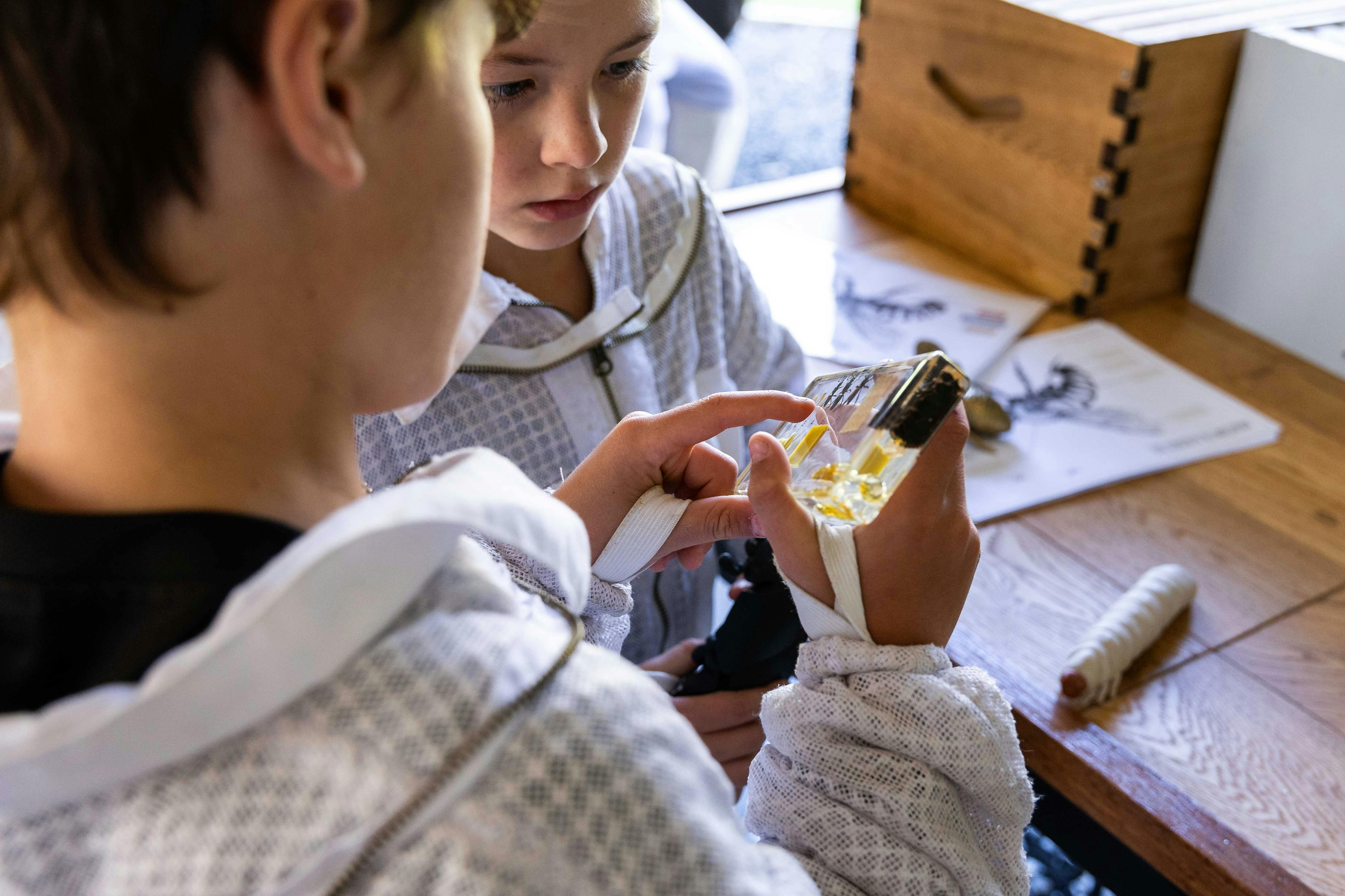 The Apiary Bay and Bush Honey Producers Beekeeping Tasting