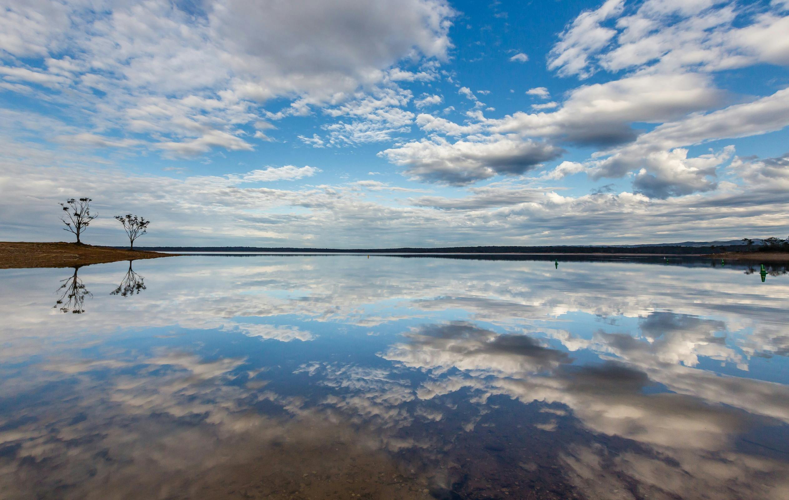A large lake with two trees to the left-hand side and the water reflecting the blue sky above