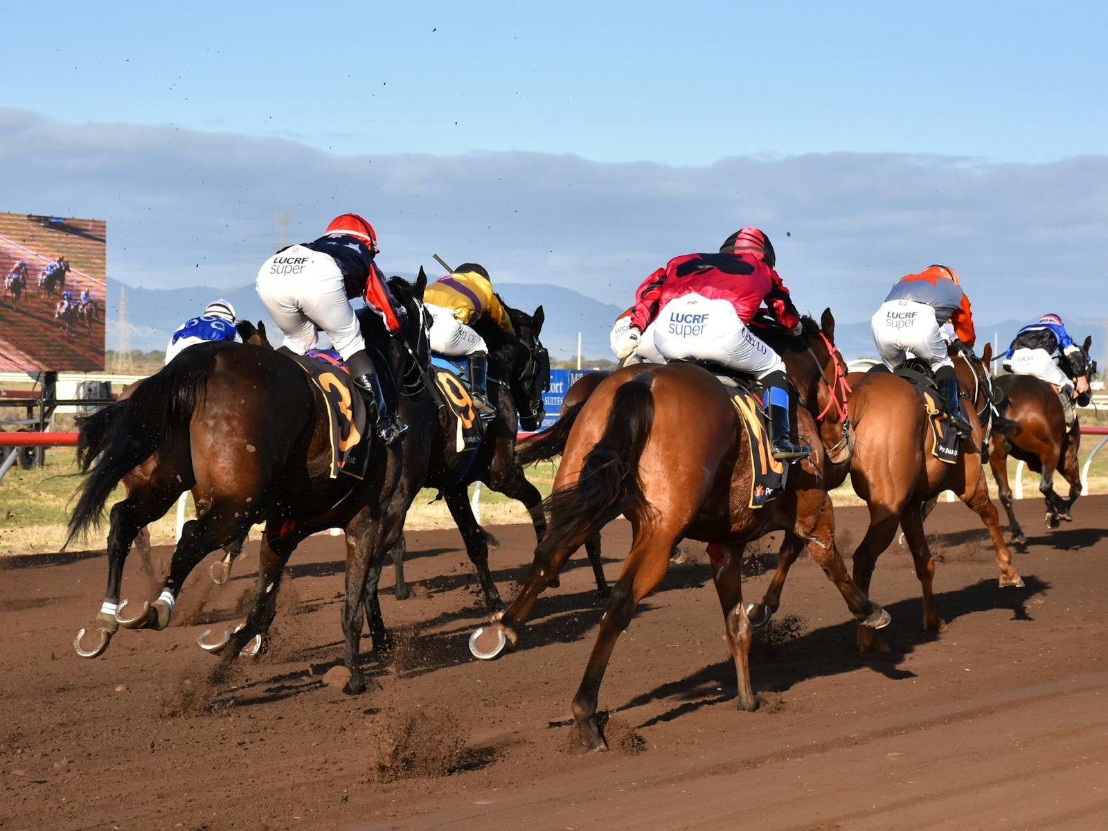 Image for Port Augusta Flying Doctor Race Day
