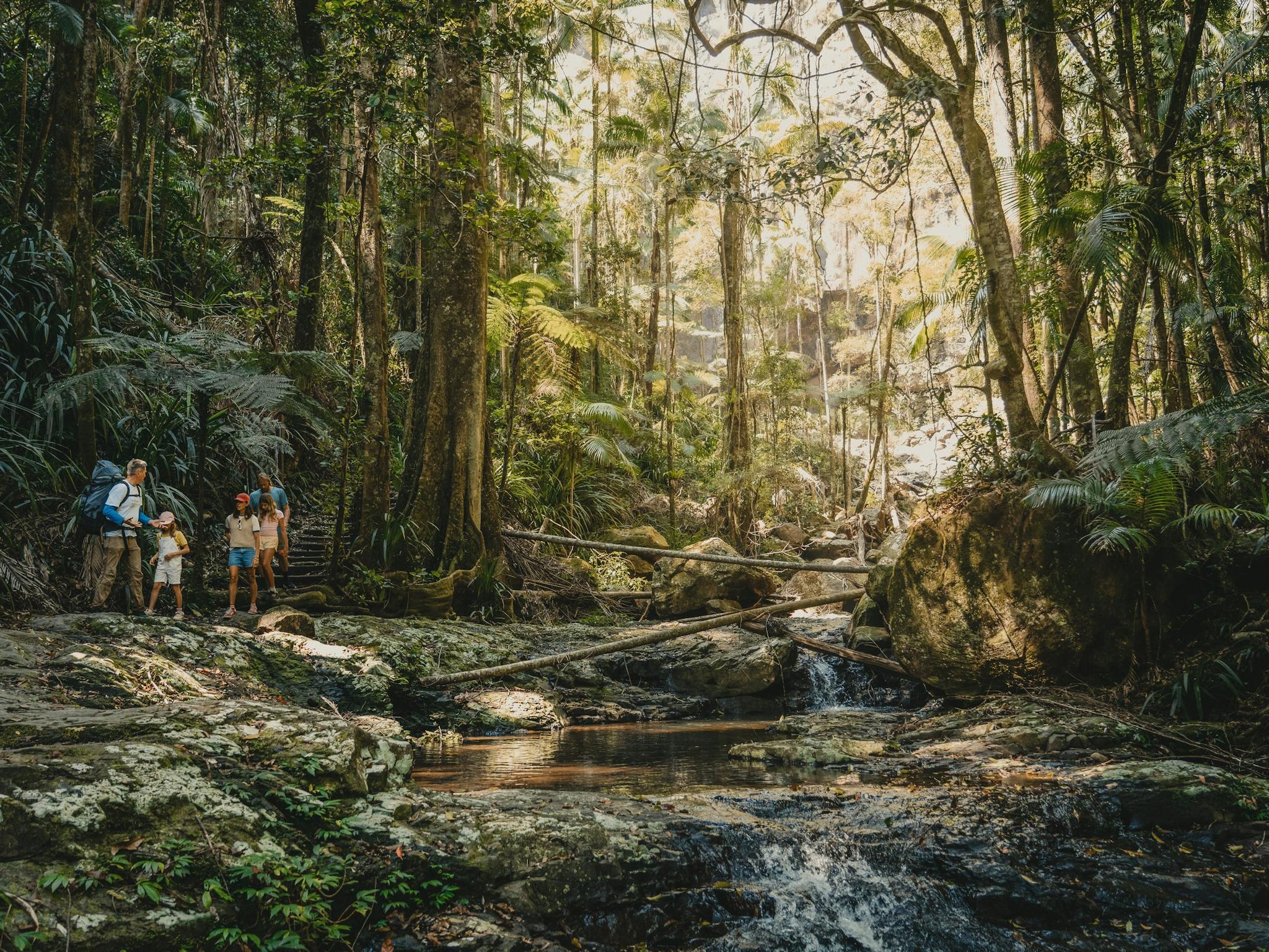 Family walking through Nightcap National Park