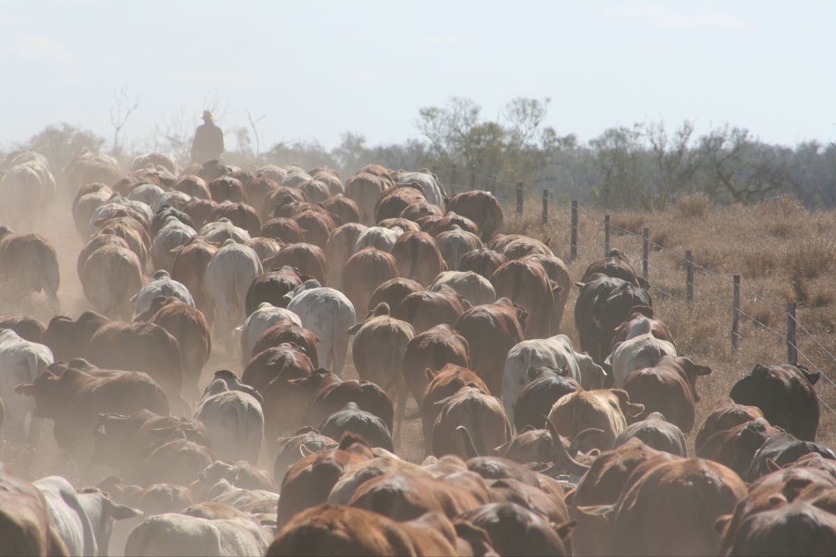 Clermont Agriculture