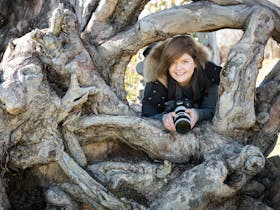 Photographer in an interesting tree trunk