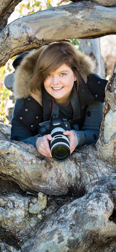 Photographer in an interesting tree trunk