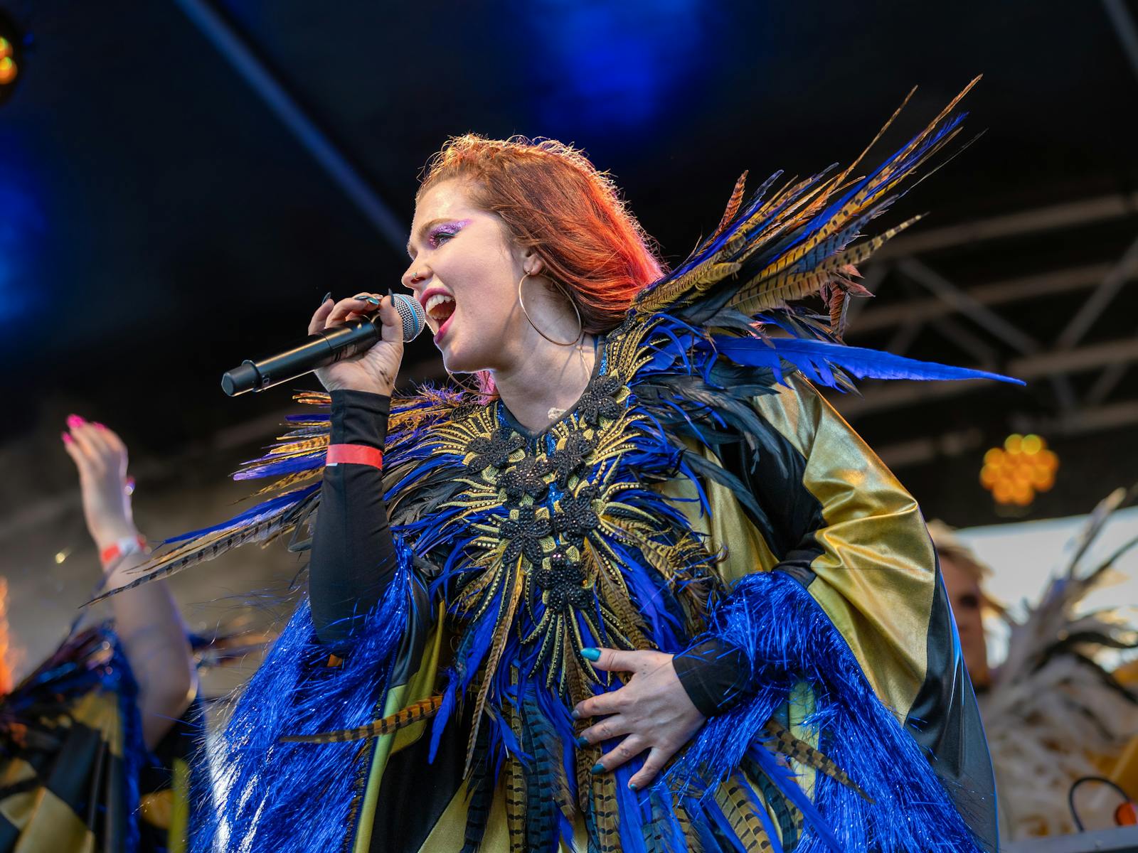 Image for Waterfront Festival