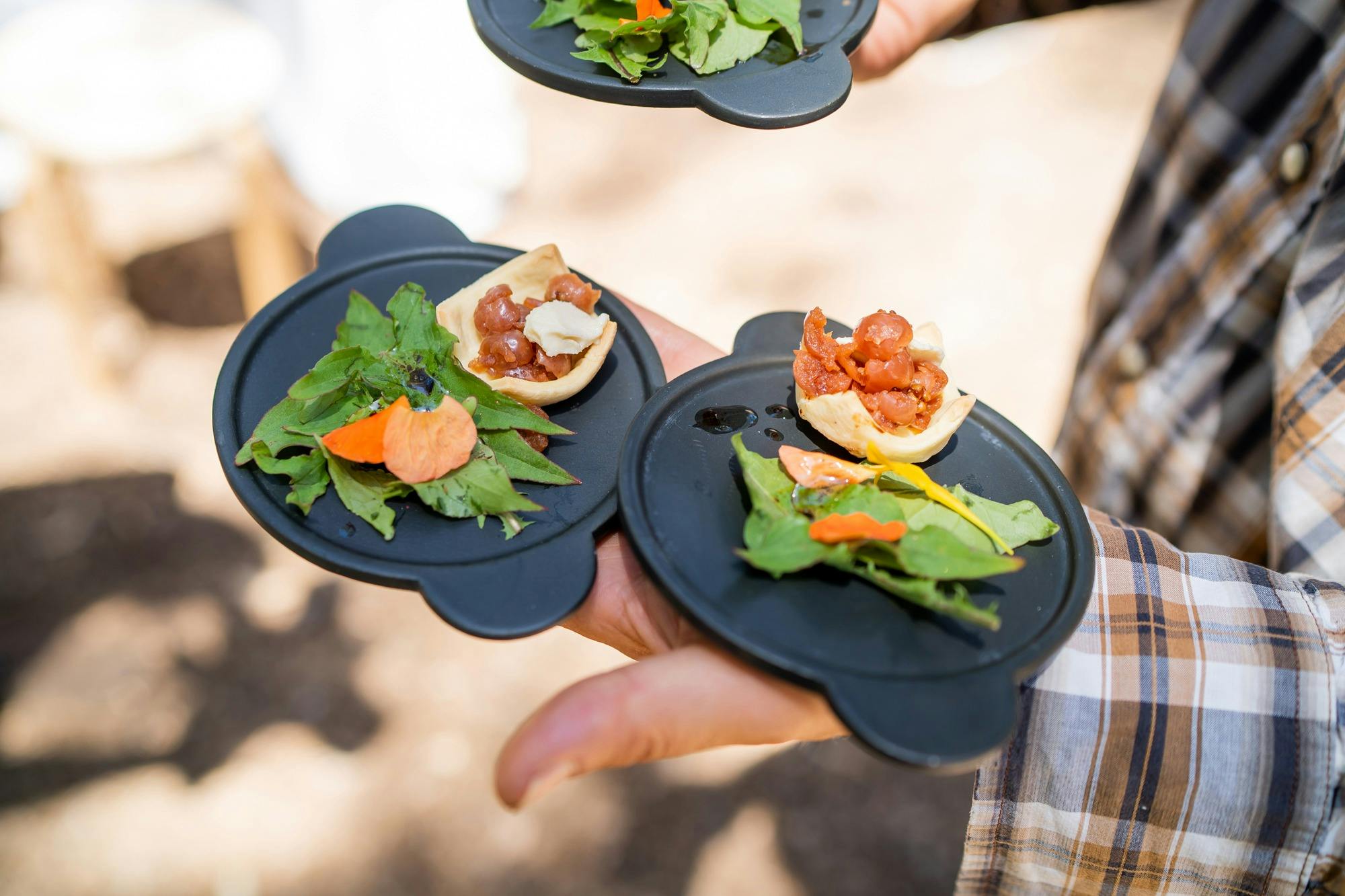 Foraging with Diego Bonetto