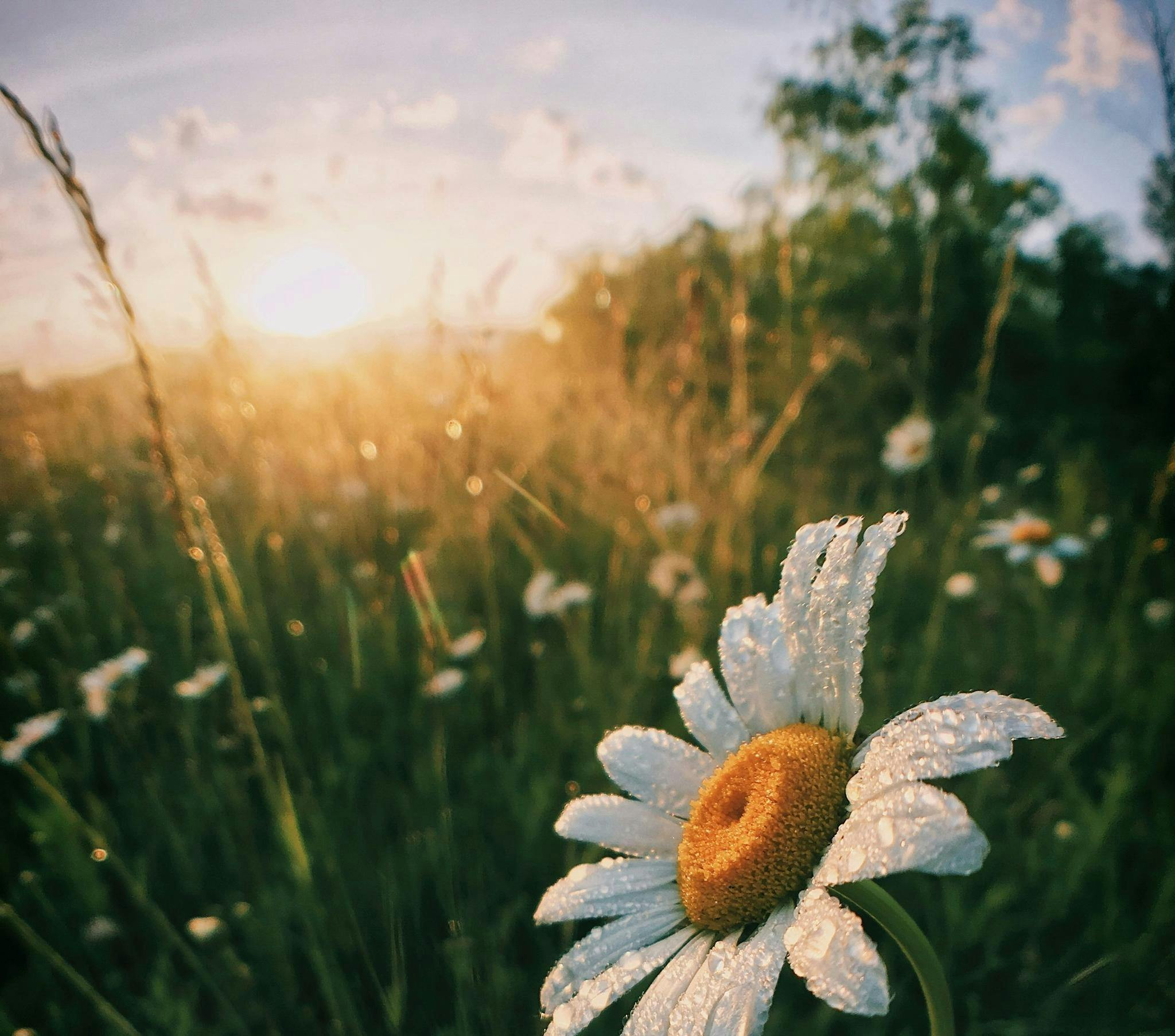 Meditation Retreat