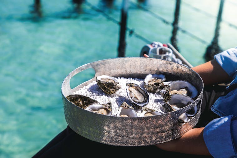 1-Day Port Lincoln & Coffin Bay Private Luxury Tour