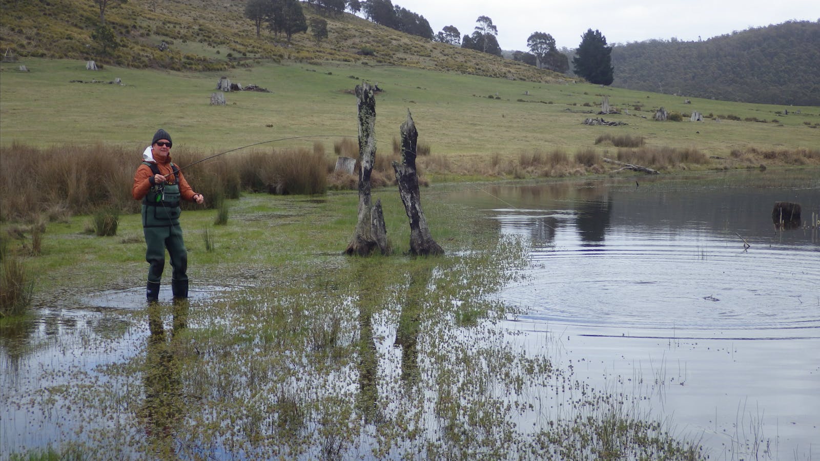 Tailing trout early season chasing frogs etc.