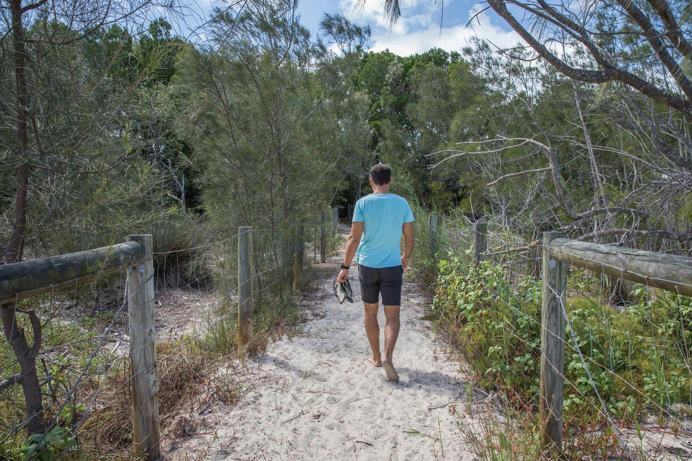 Walking the sandy tracks at Buckley's Hole Conservation Park.