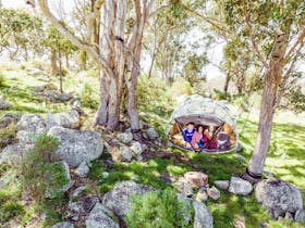 Kids in Australia's only Tiny Bubble Tent in a Tree