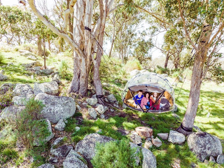 Kids in Australia's only Tiny Bubble Tent in a Tree