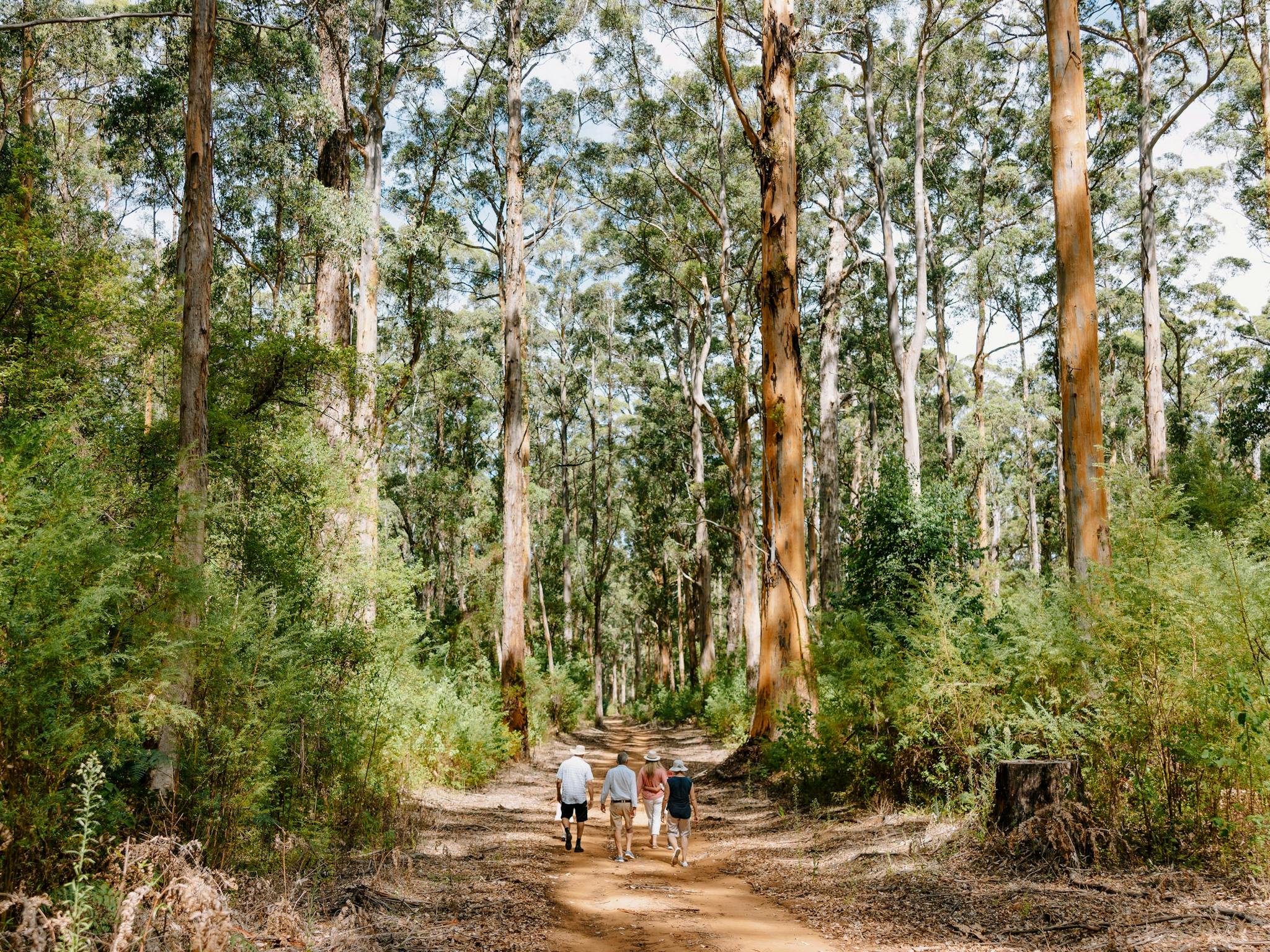 Pemberton Discovery Tours