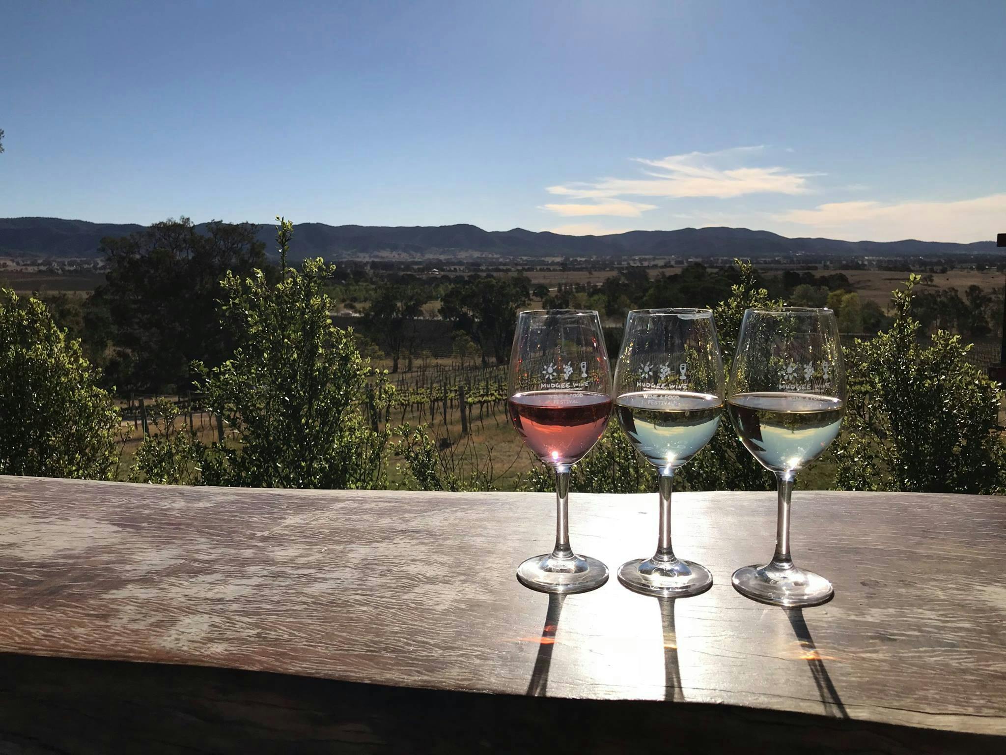 Mudgee Wine tasting
